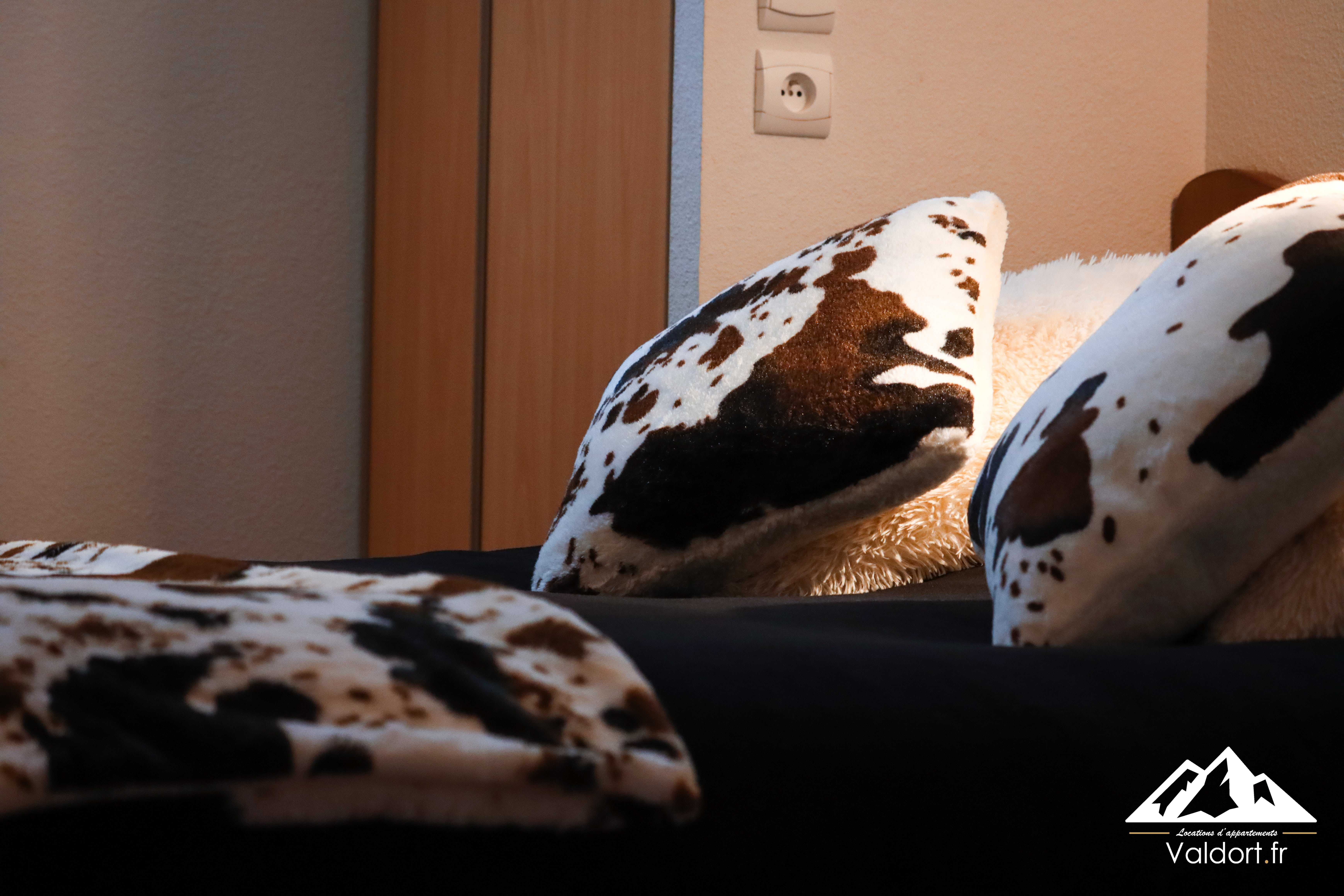 Coussins de la chambre